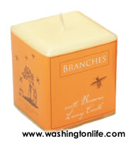 BRANCHES ORGANIC BEESWAX LUXURY CANDLE