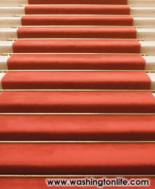 The Red Carpet 