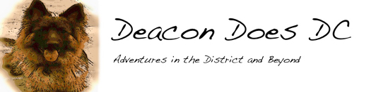 Deacon Does DC
