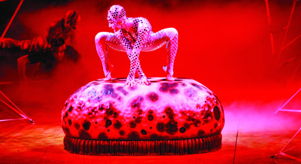 Ladybug, Cirque du Soleil Ovo. Courtesy of Aba Kwawu.
