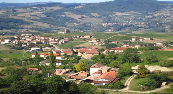 France's Beaujolais region produces fruity Gamay-based wines.