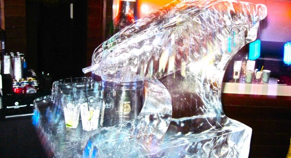 Ice Luge (Photograph by Grace Romanowsky.)