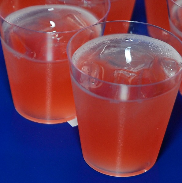 Roaring 20's Party at Eden,July 28,2011,Kyle Samperton