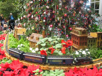 botanic-gardens-train-display