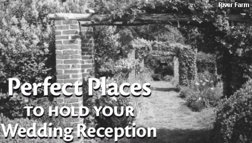 Perfect Places to hold your Wedding Reception